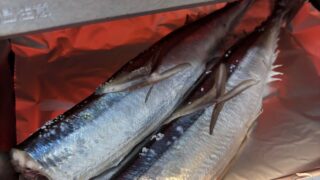 バリュミューダのトースターで秋の新サンマを焼いてみたレビュー