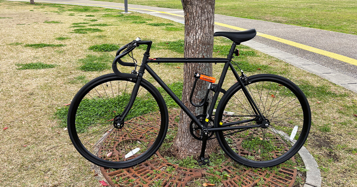 FUJI FEATHERの価格は高い？安い？実際に買った値段とお得に買うコツ